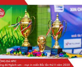 GIẢI BÓNG ĐÁ NPIC - SƠN FUJISU 